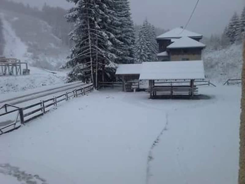 Sedmi dan potrage za nestalim Nišlijom!