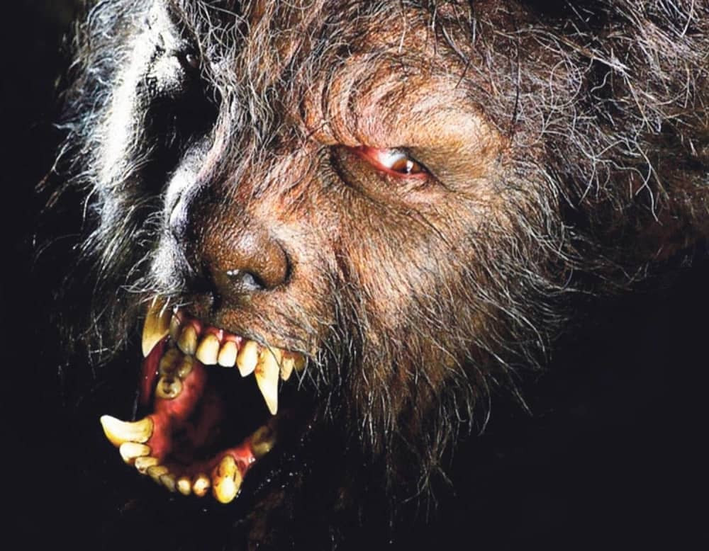 Vukodlak jede pse po selu!