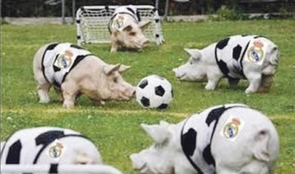 Stoičkov: Igrači Reala su svinje