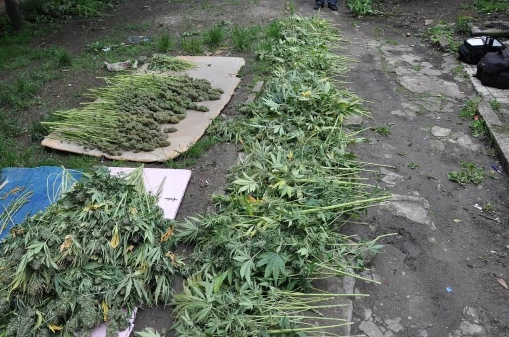 Po hitnom postupku! Uhapšen pazarac zbog 10 kilograma marihuane i osuđen na 6 godina zatvora!