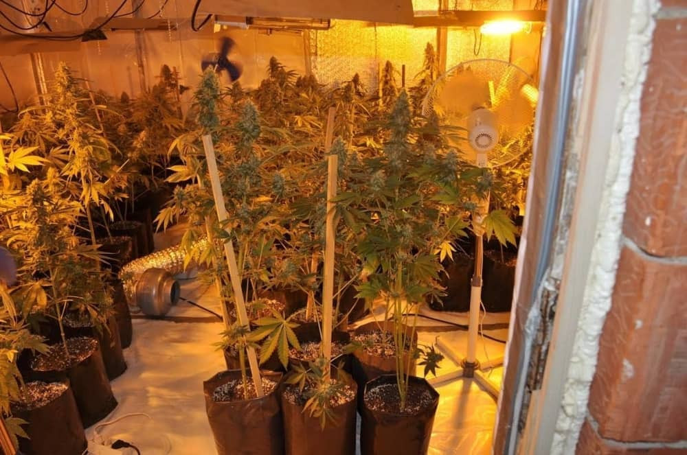 Gajili drogu u dve laboratorije! (FOTO)