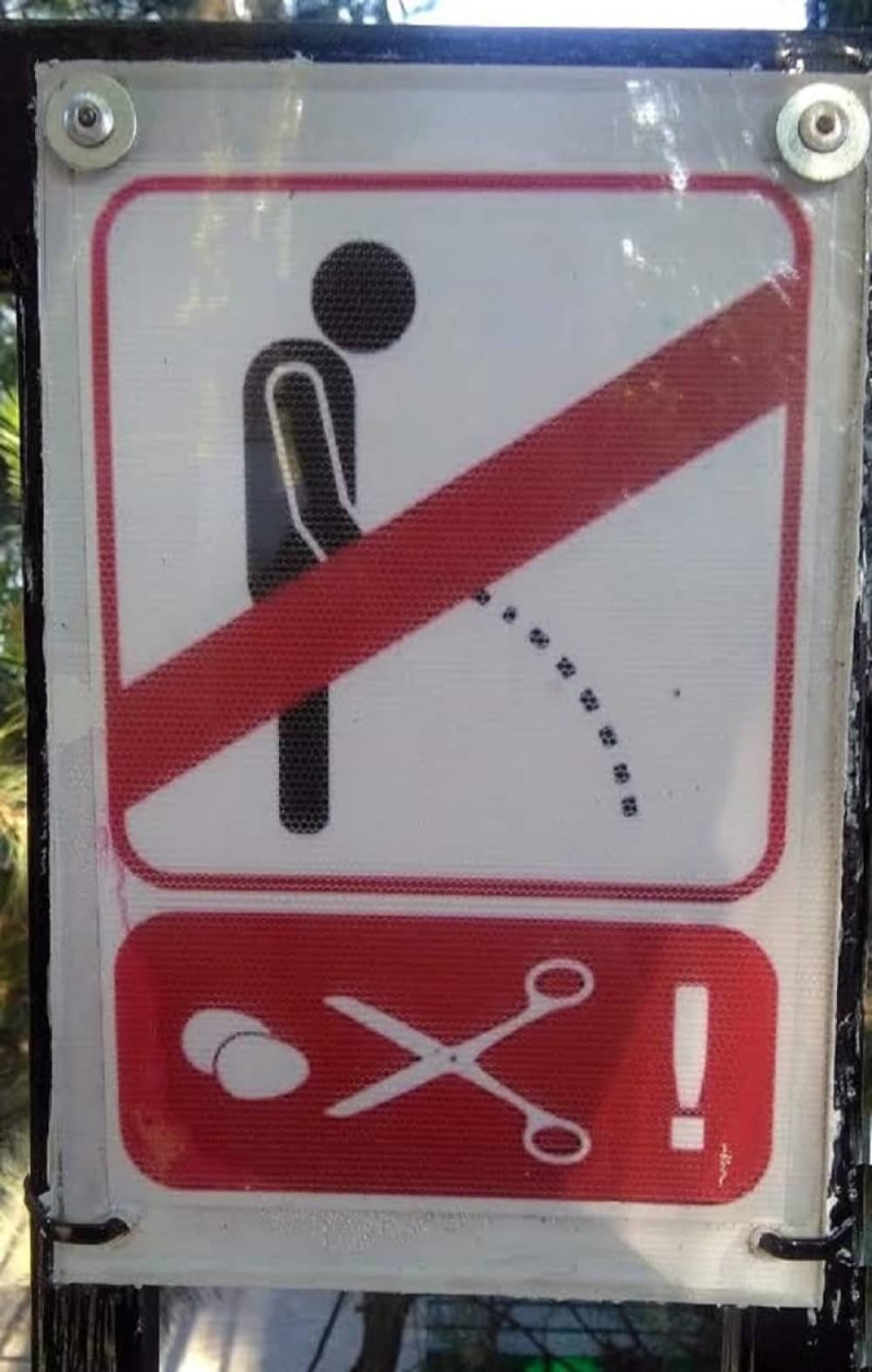 Dobro razmislite da l' ćete OVDE da vršite nuždu! (FOTO)