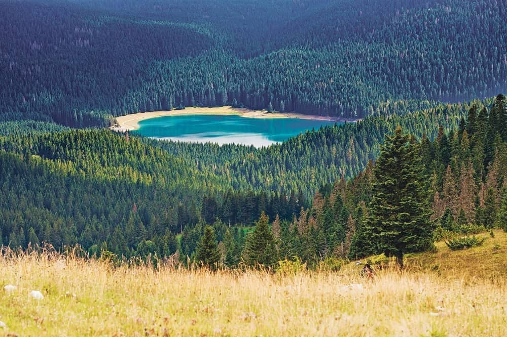 Našli telo na Durmitoru, sumnja se da pripada nestaloj ženi