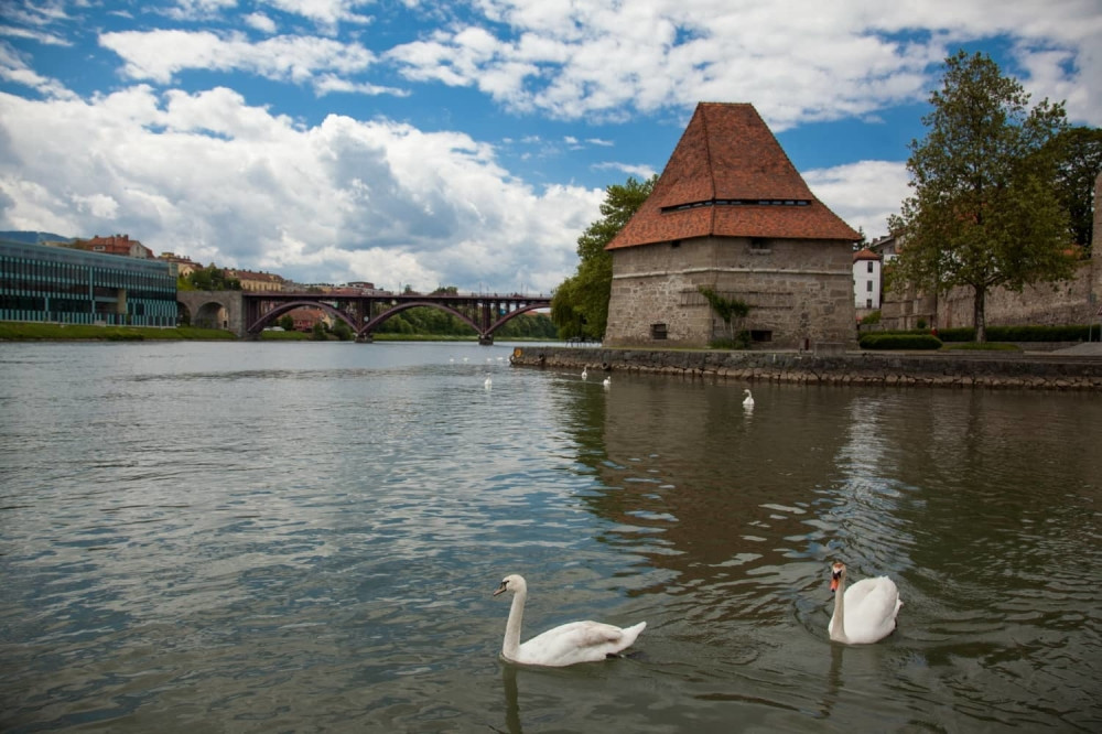 Zašto glupi ljudi postaju poznati