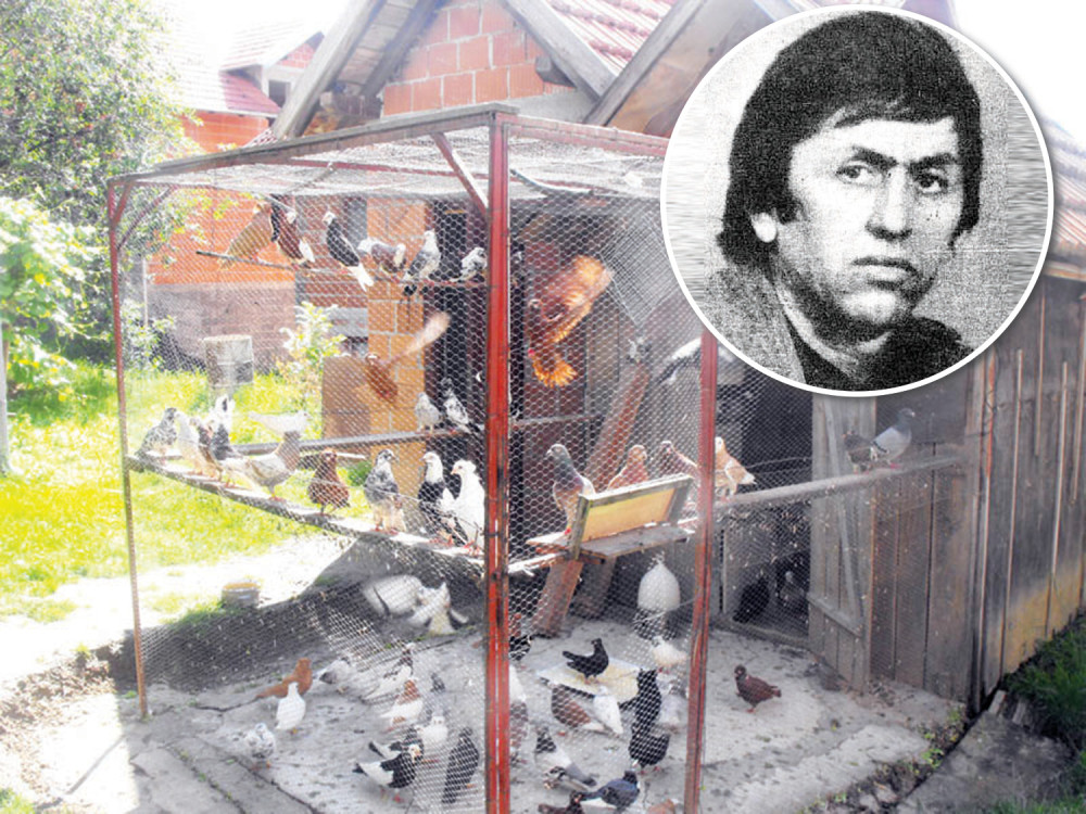 Đoka Ludak pobio porodicu imenjaka