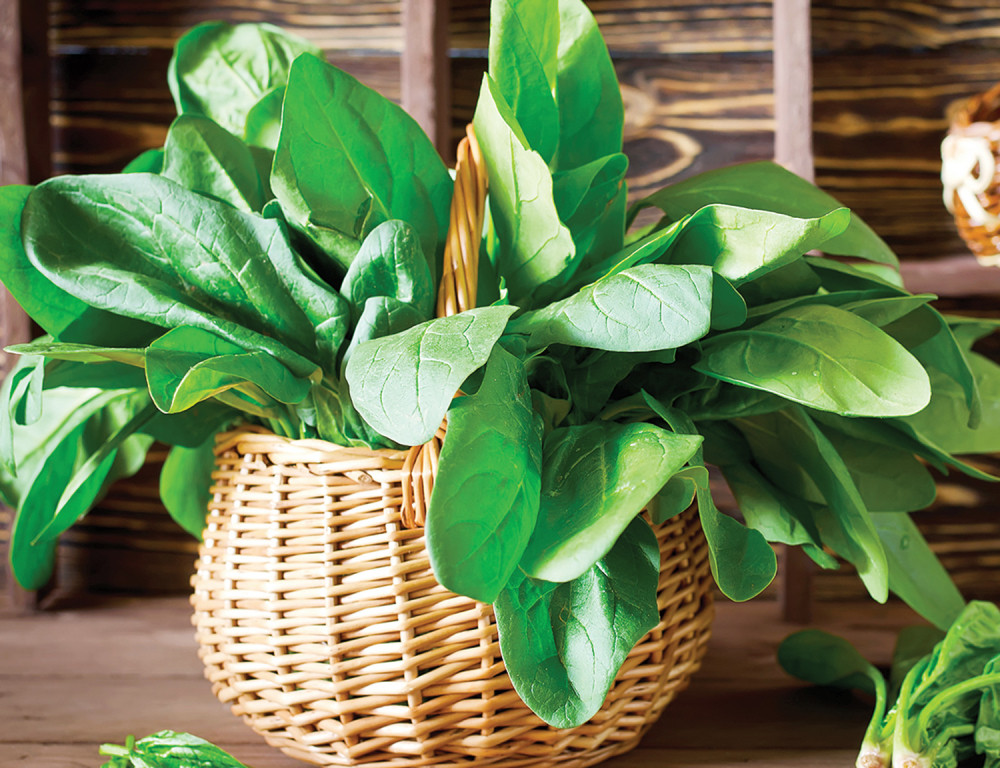 Blitva štiti od raka, jača imunitet i čisti krv!