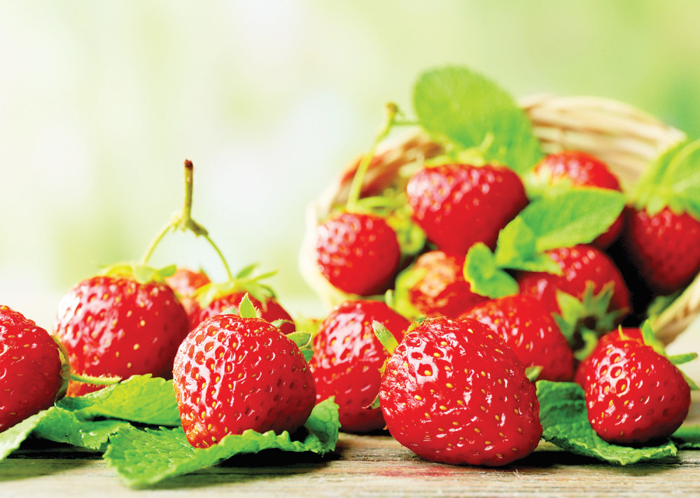 Ovako je prodavac jagoda odlučio da proda svoje voće (FOTO)