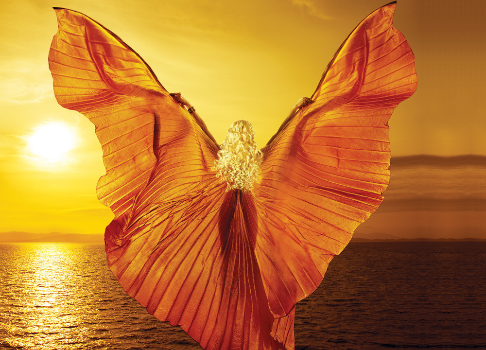 Šta ste bili u prošlom životu?