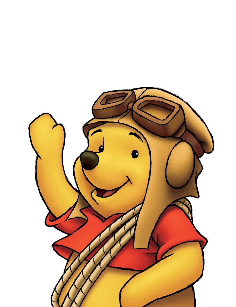 Vini Pu napunio 90 godina (VIDEO)