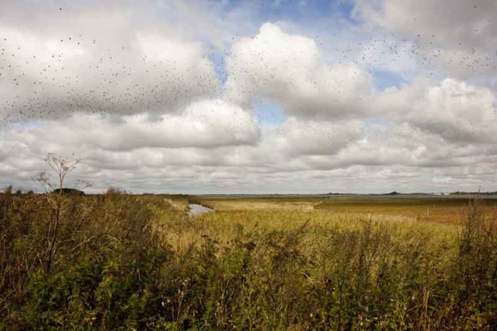 Ostrvo od 100 hektara za 3,1 milion
