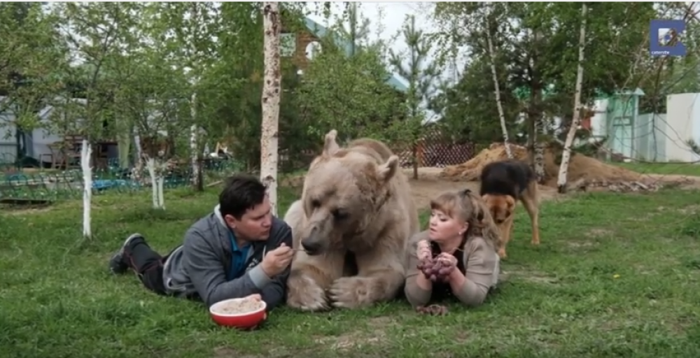 Žive s "međedom" od 140 kilograma (FOTO i VIDEO)