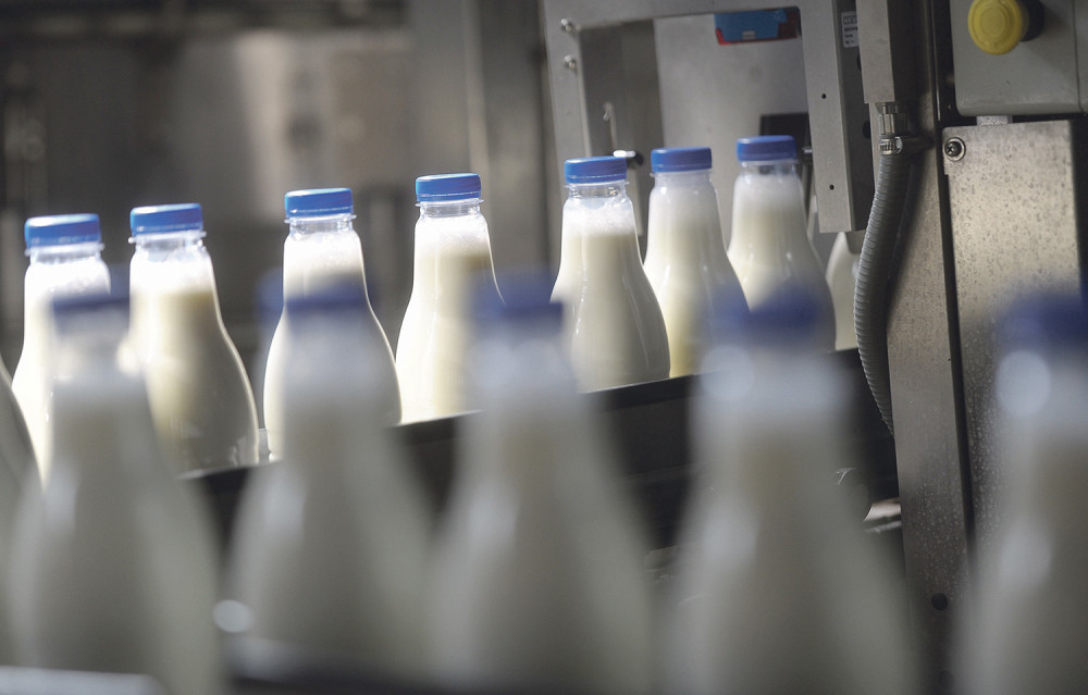 Batalila arhitekturu da bi gajila koze