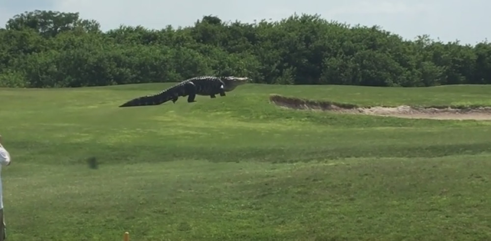 Igrali golf, a onda je naišlo OVO