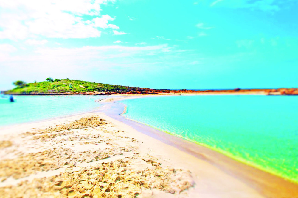 Četiri osobe poginule u pucnjavi na Kipru