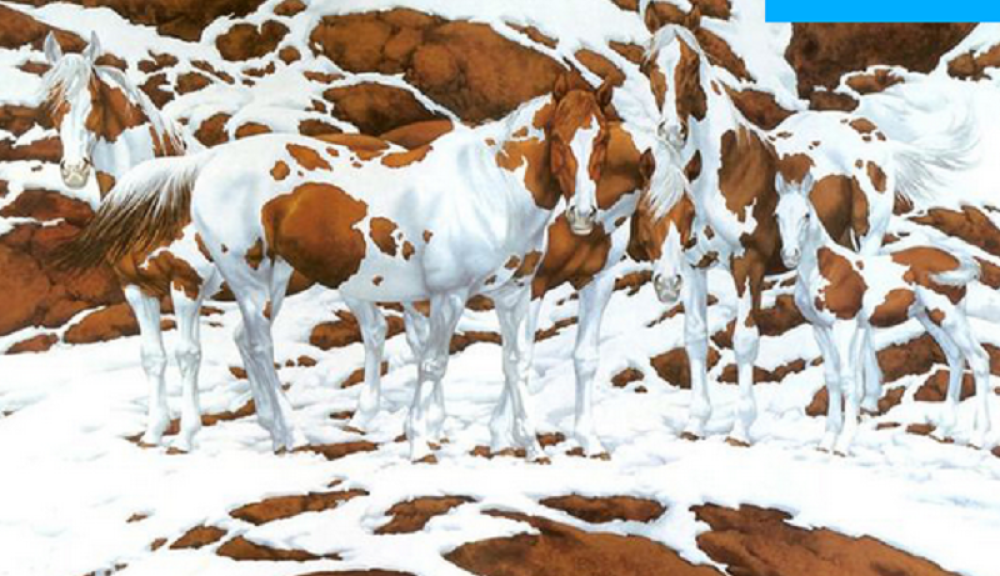 Koliko je konja na slici?