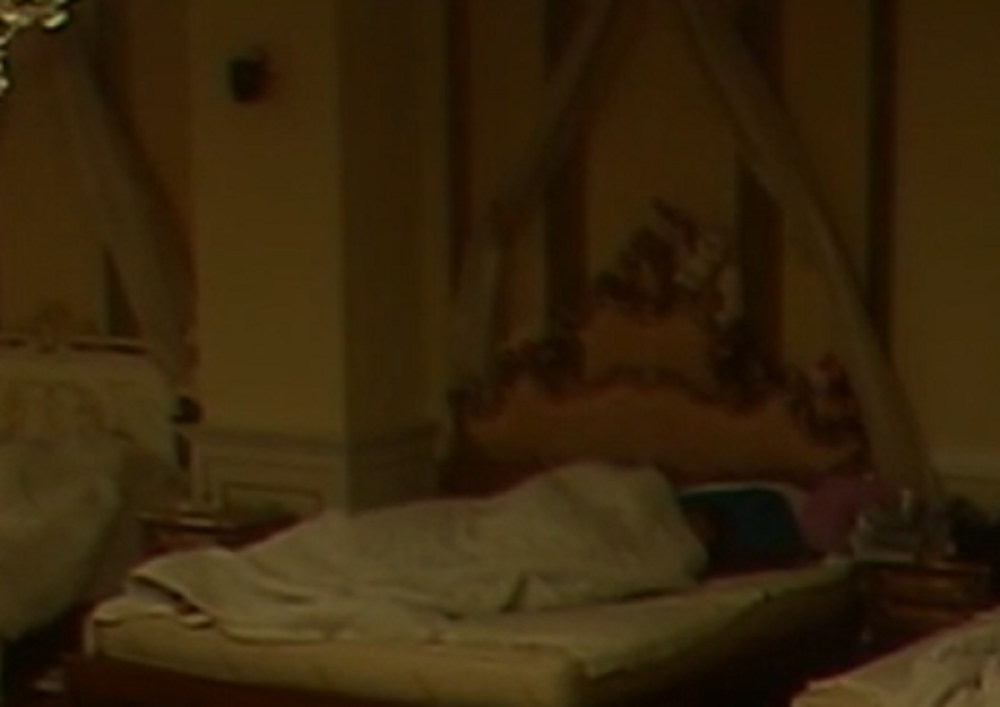 Dalila i Mladen imali seks (VIDEO)