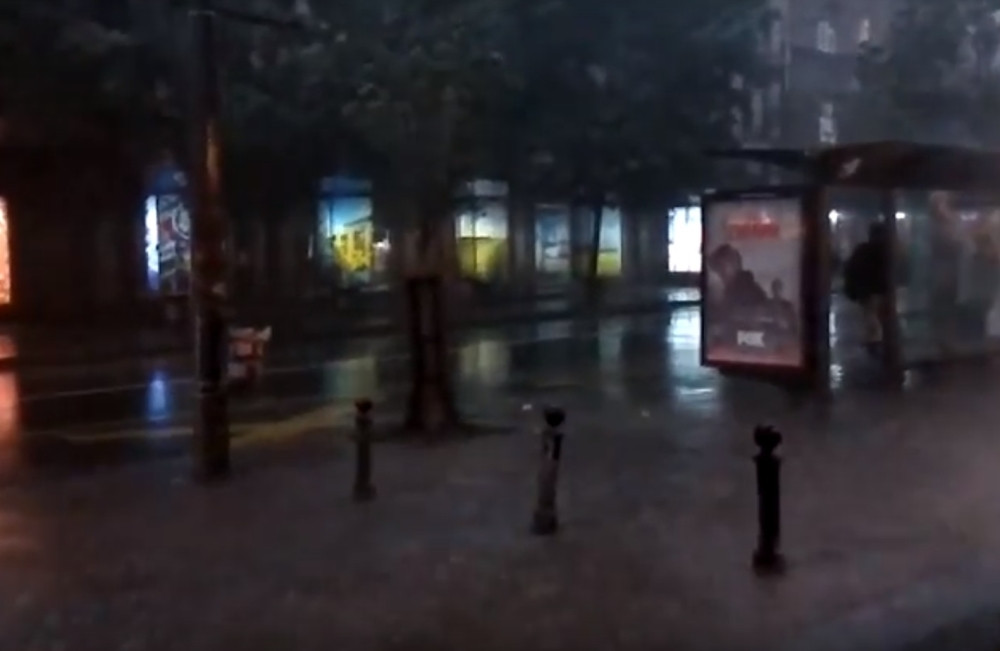 Nevreme rušilo drveće (VIDEO+FOTO)