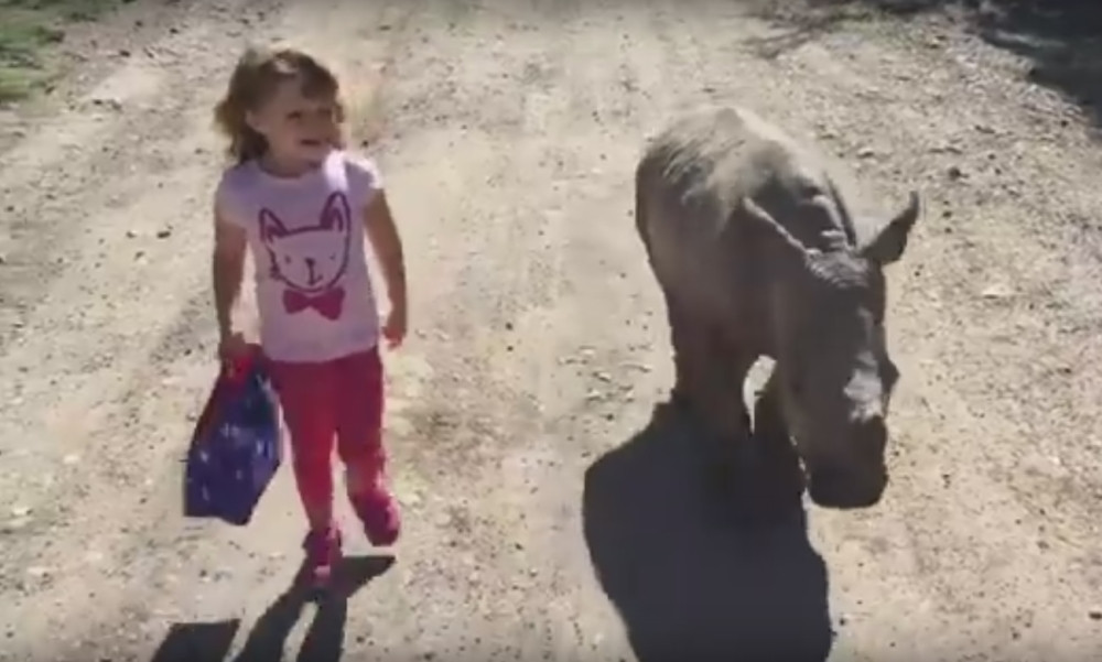 Ovi najbolji drugari su preslatki! (VIDEO)