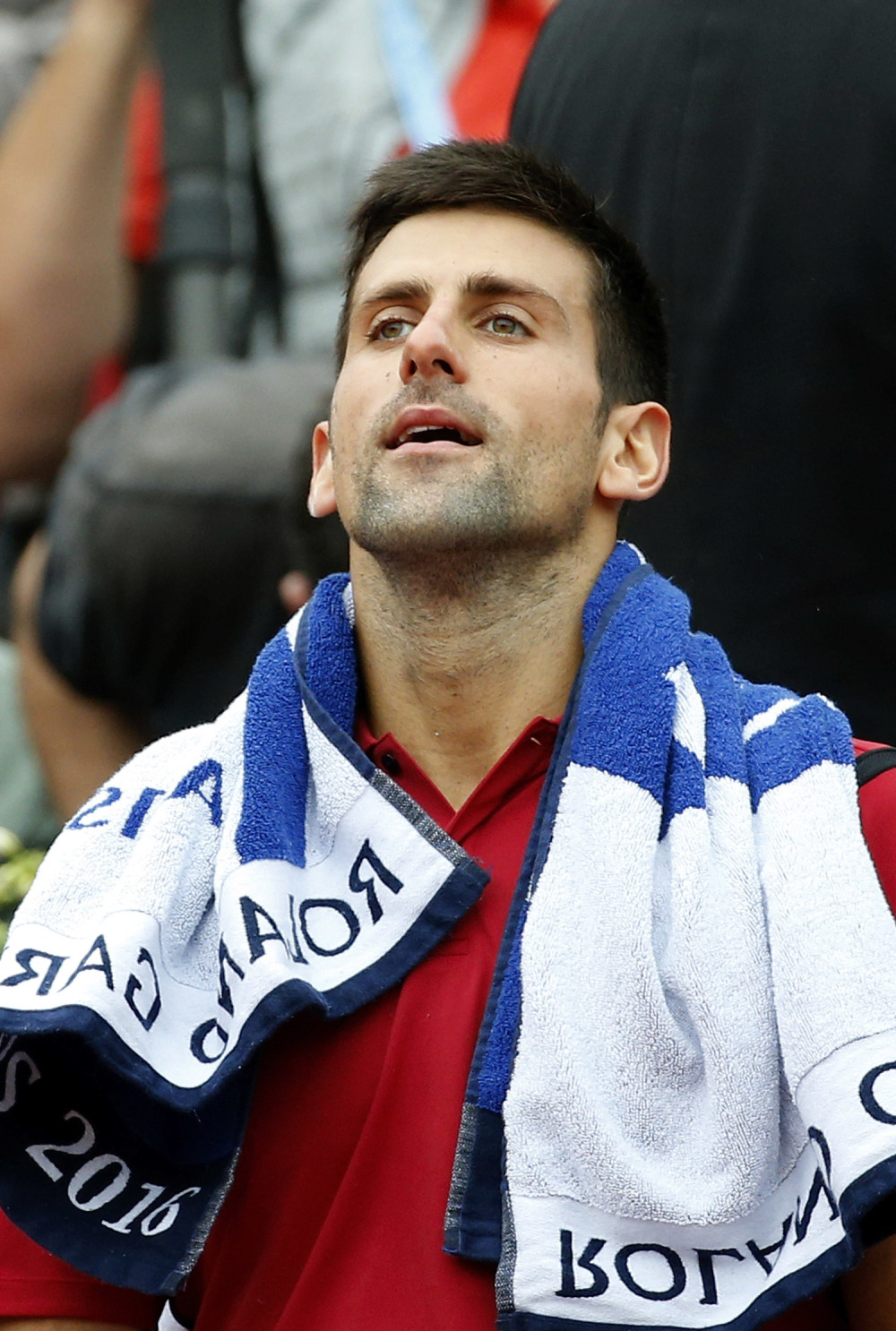 Ovako je Nole slavio pobedu (VIDEO)