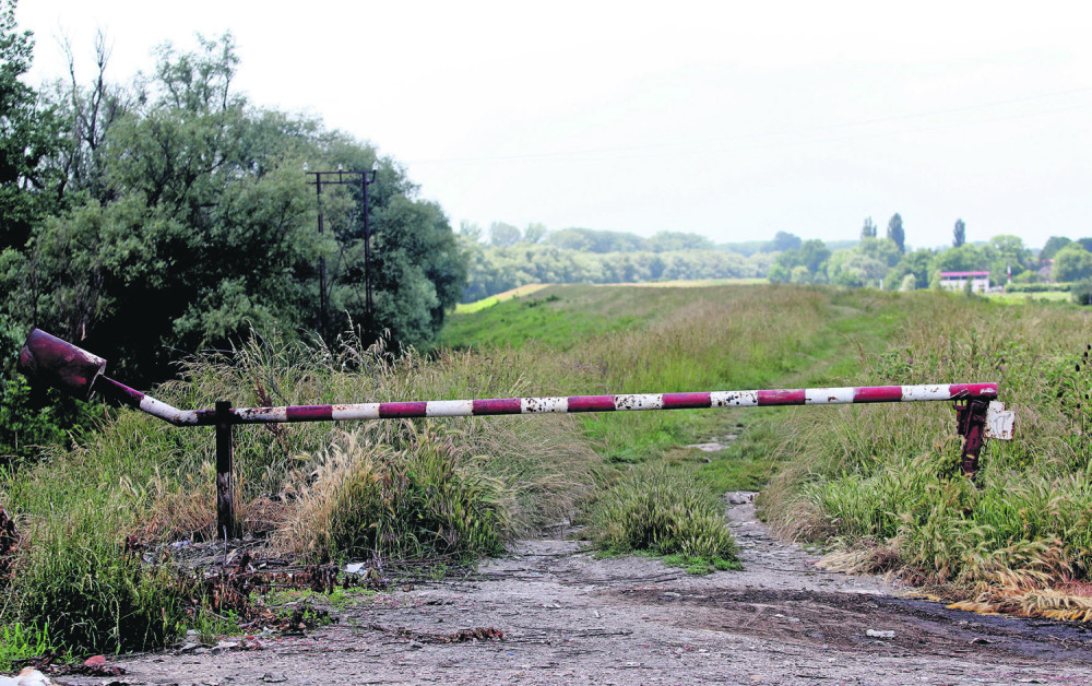 Isekao vene na mestu ubistva Jelene Marjanović!
