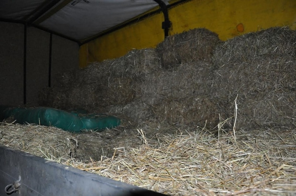 Krili duvan u kamionu sa senom (FOTO)