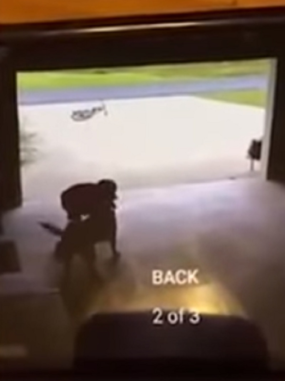 Dečaku uginuo pas, pa krišom mazio komšijinog (VIDEO)