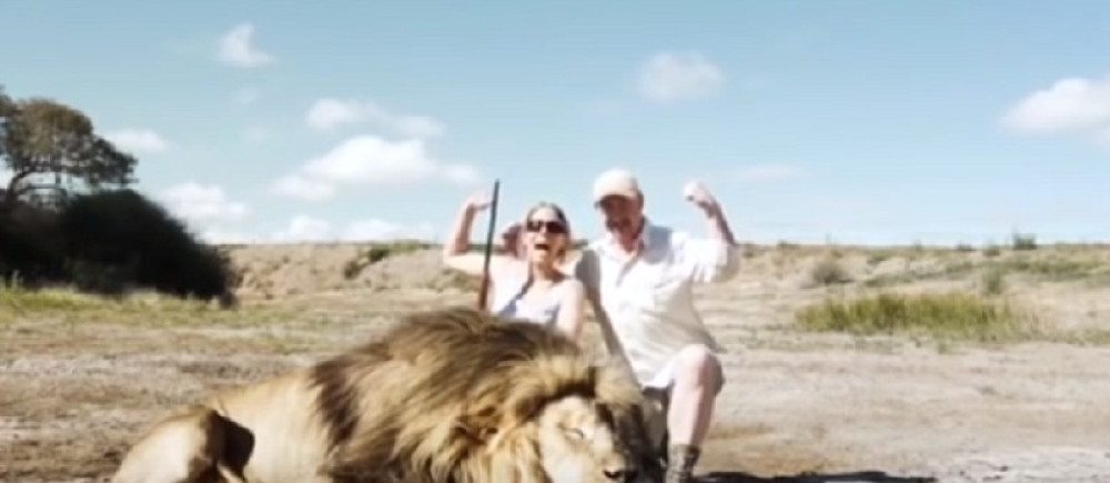 Pozirali pored ubijenog lava, dok ih nije napao drugi (VIDEO)