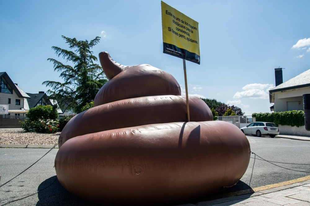 Ukradeno ogromno go*no vredno 3.800 evra! (FOTO)