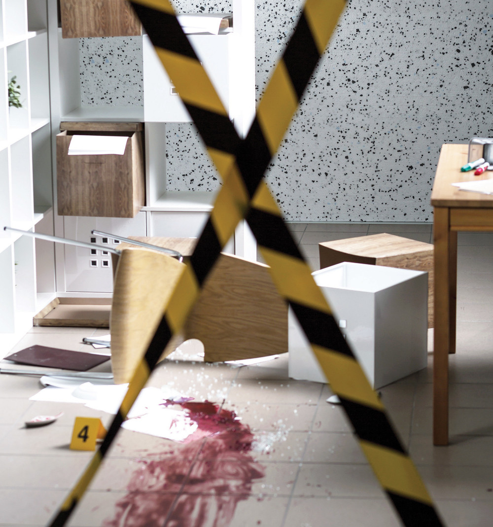 Novinara izboli skakavcem, pa ga dotukli čekićem!