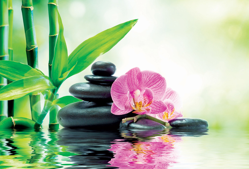 Želite BRAK? Onda ovo cveće MORATE imati u uglu vaše kuće!