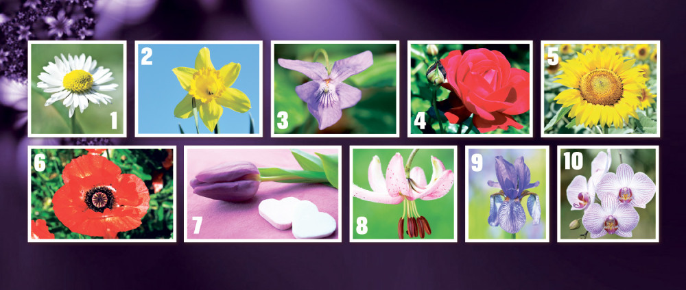 Zašto vas privlače baš lala, ruža ili ljiljan?