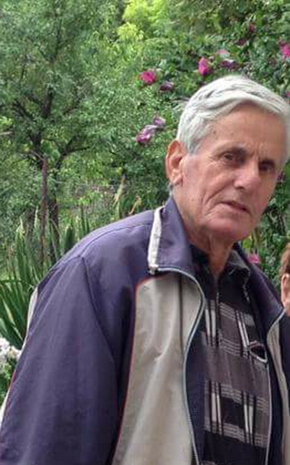 Nestao Vukomir iz Čoke