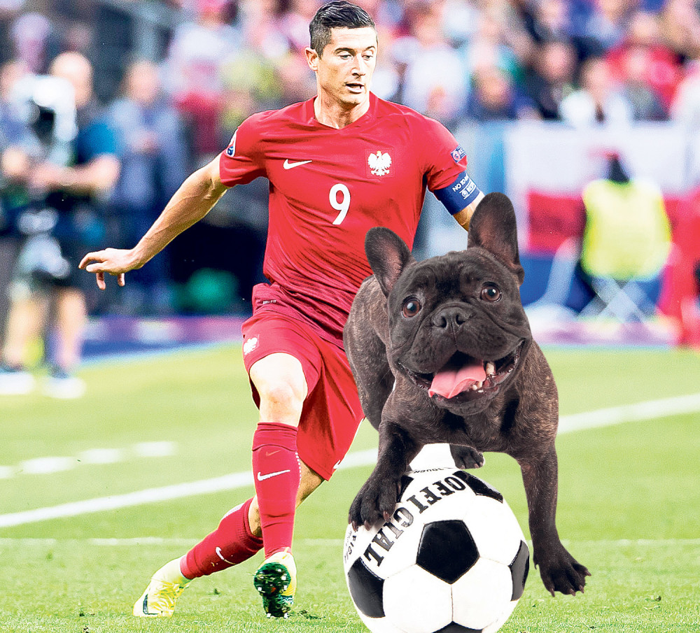 Učio sam fudbal driblajući psa!