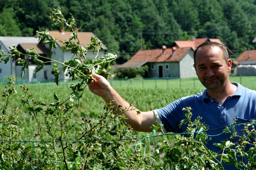 Vanredna situacija zbog grada u Kosjeriću  (FOTO)