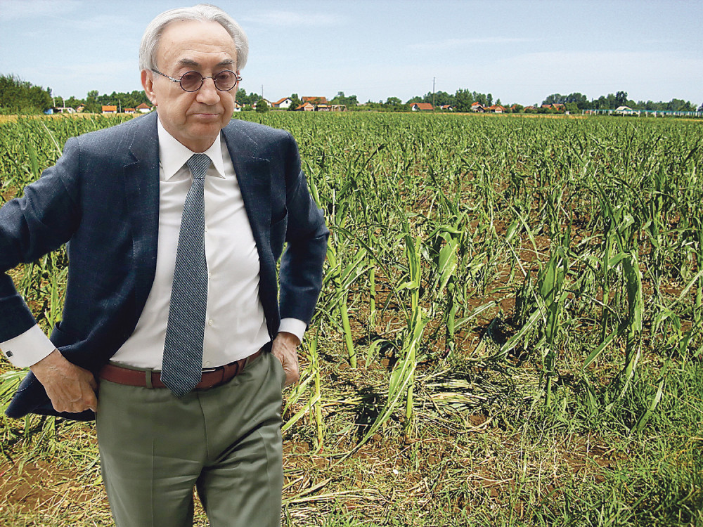 Mišković će u zatvoru okopavati kukuruz?!