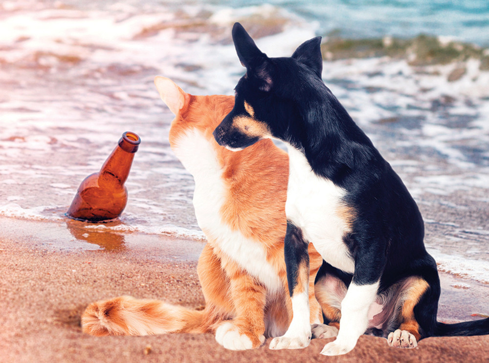 Evo šta se zapravo dogodilo u Hrvatskoj tokom najjačeg zemljotresa!