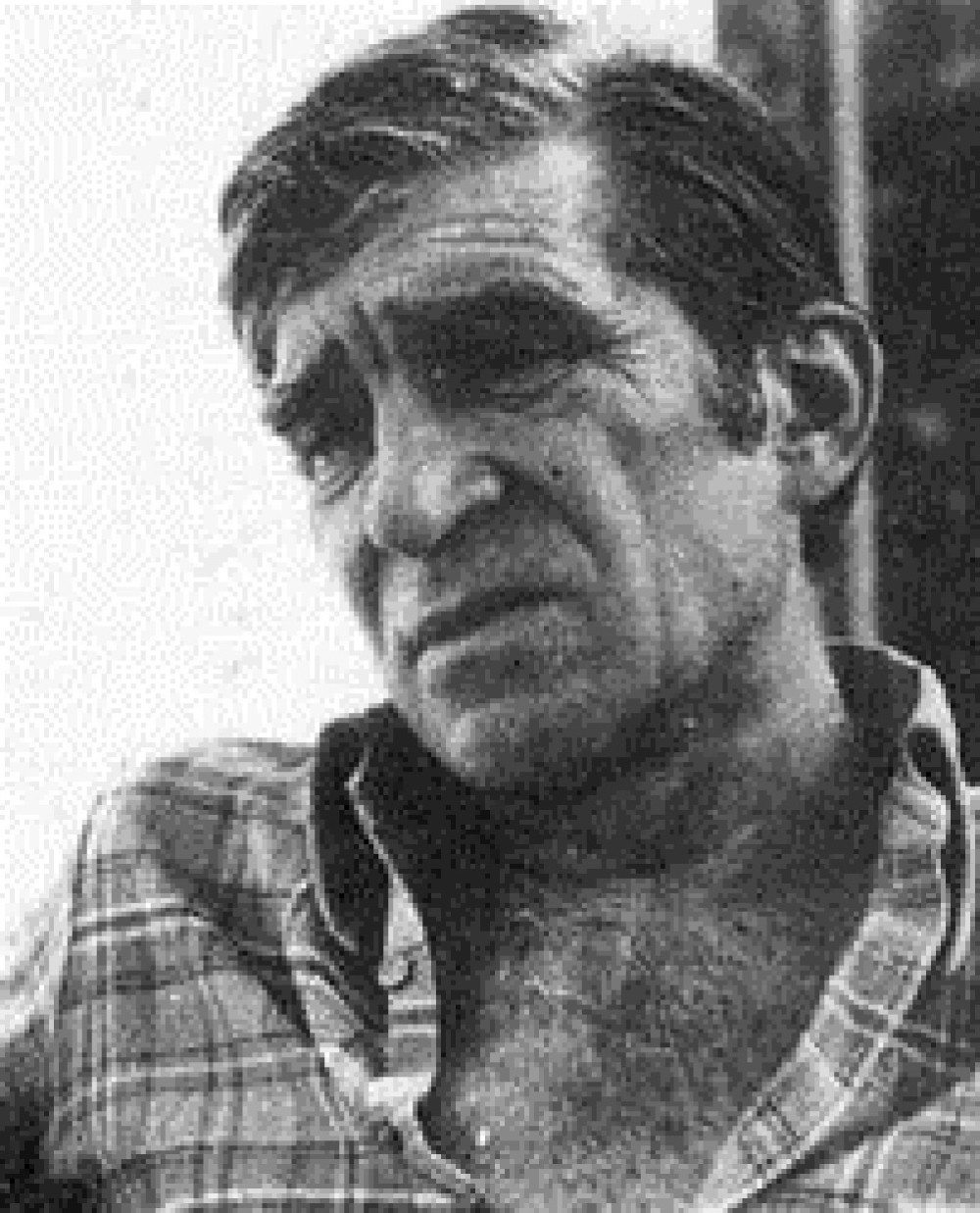 Trideset godina od smrti Mike Antića