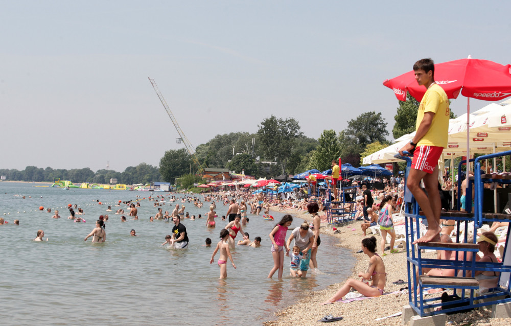 Knez pust, Ada krcata (FOTO)