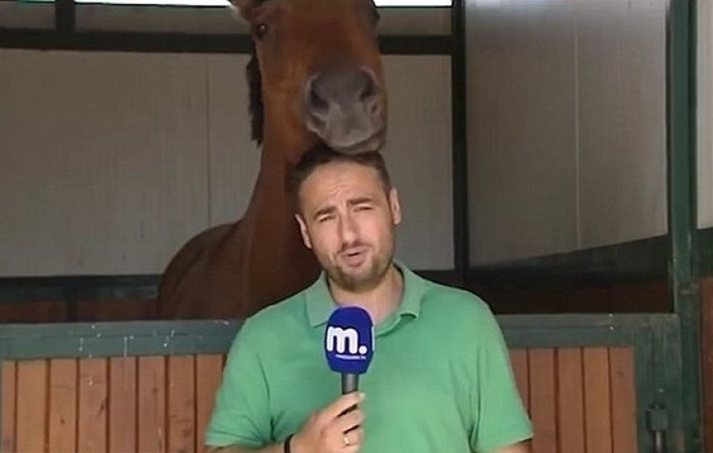 Dobar dan, dragi gledaoci, njiii (VIDEO)