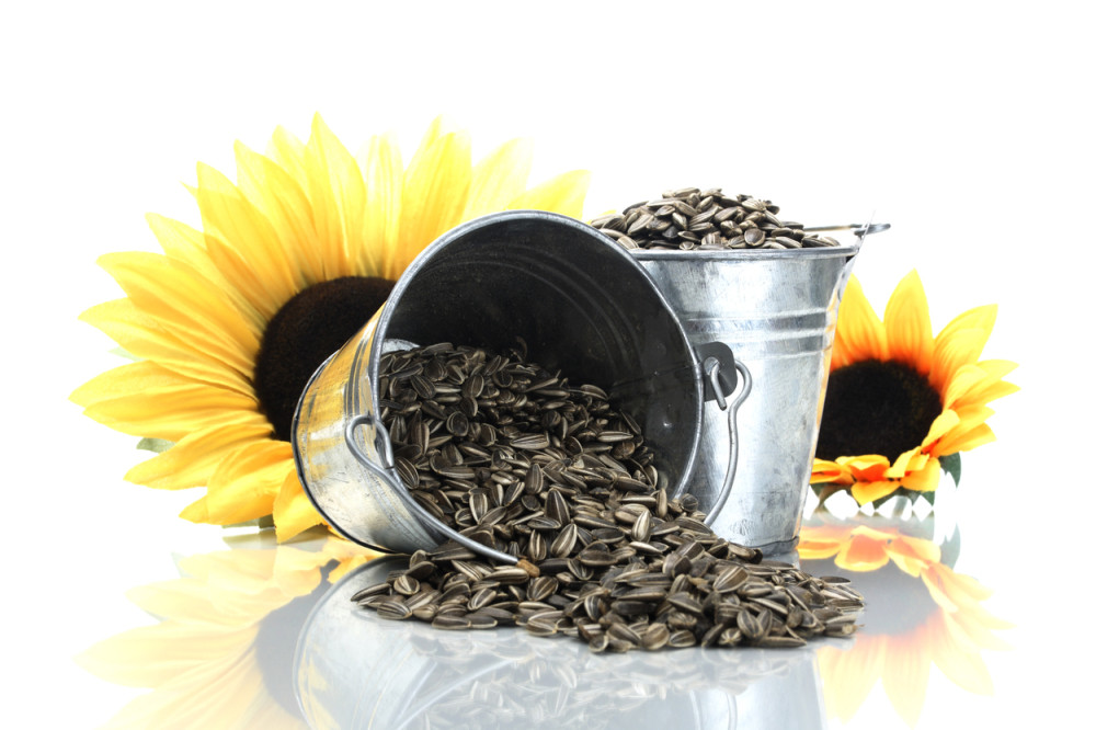Ovo seme je riznica cinka, gvožđa, magnezijuma, brana za virusa i čuvar srca