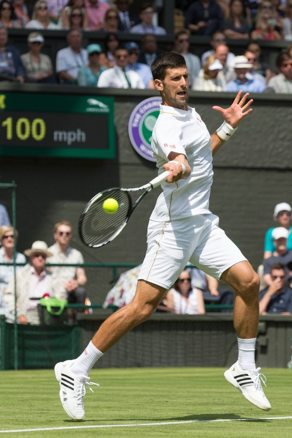 Novakov meč otkazan iz bezbednosnih razloga!