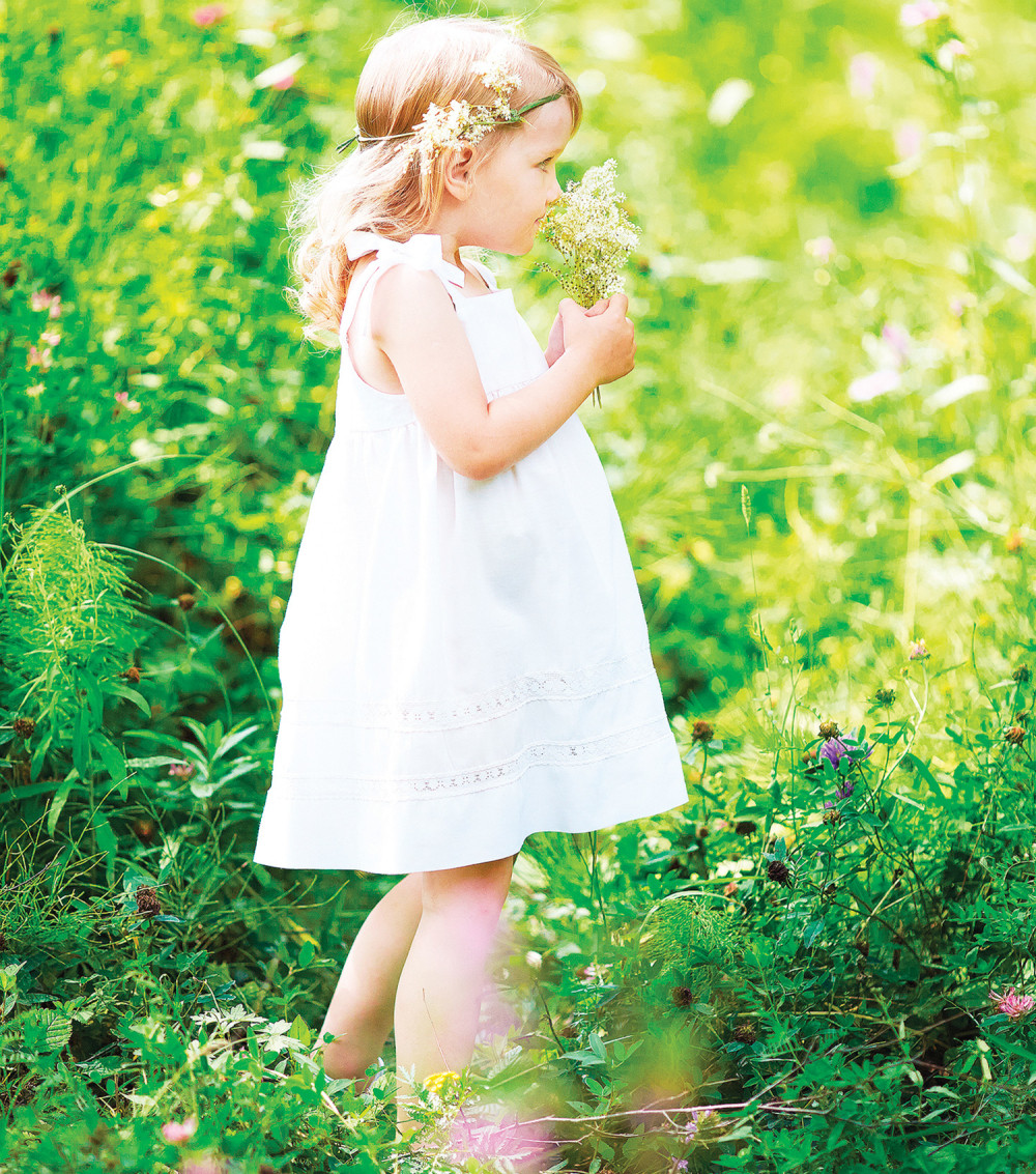 Pročišćava krv, leči upale, glavobolju