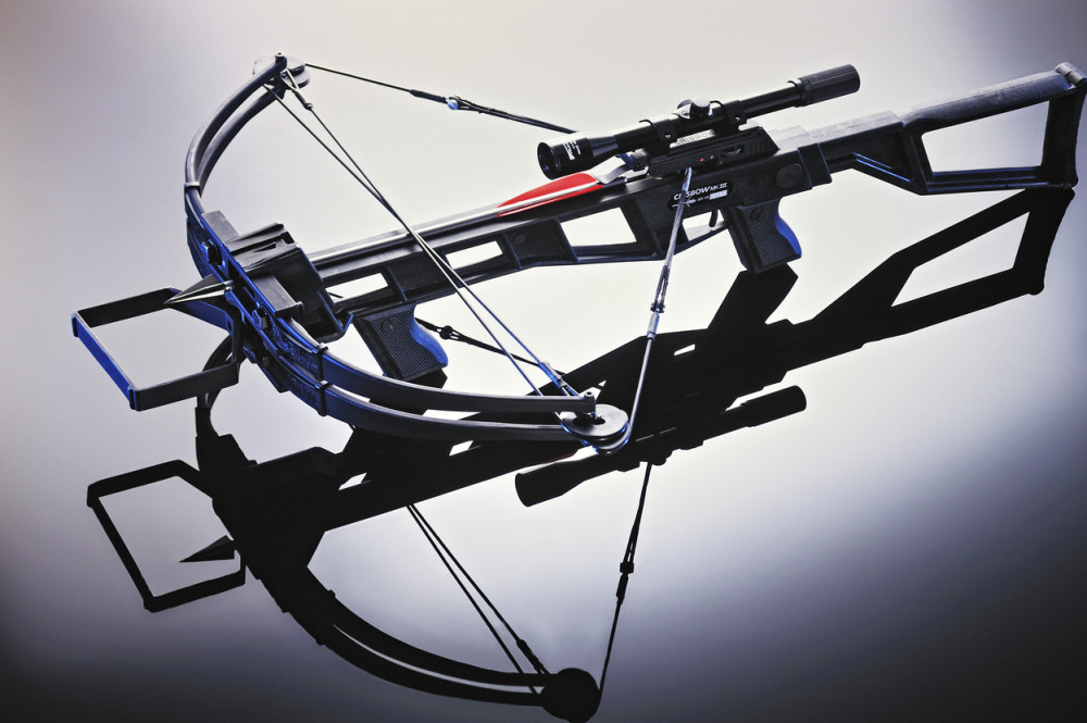 Pogodio lopova strelom u zadnjicu!