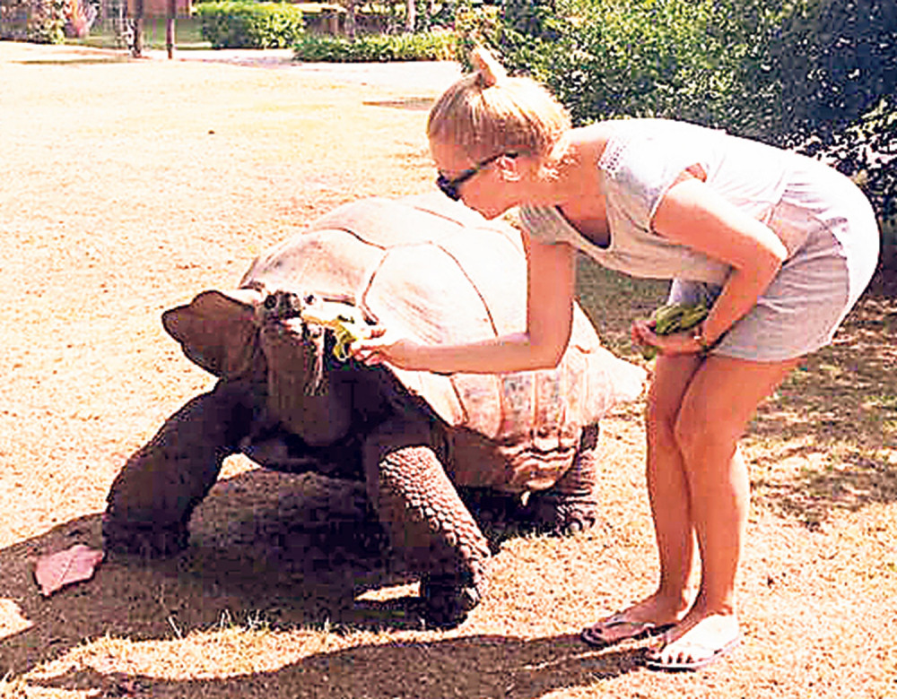 Ivana nahranila džinovsku kornjaču
