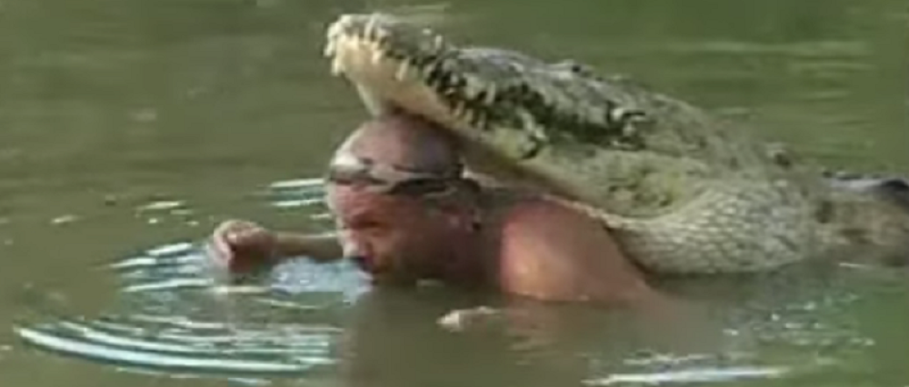 Mazi se s krokodilom, a ovaj ništa! (VIDEO)