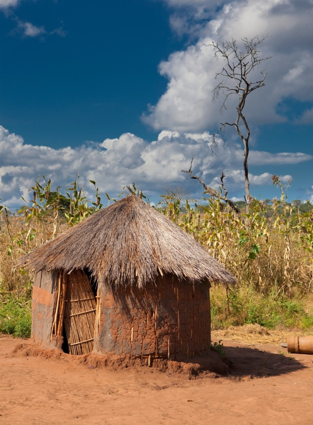Napravite kućicu od slame (VIDEO)