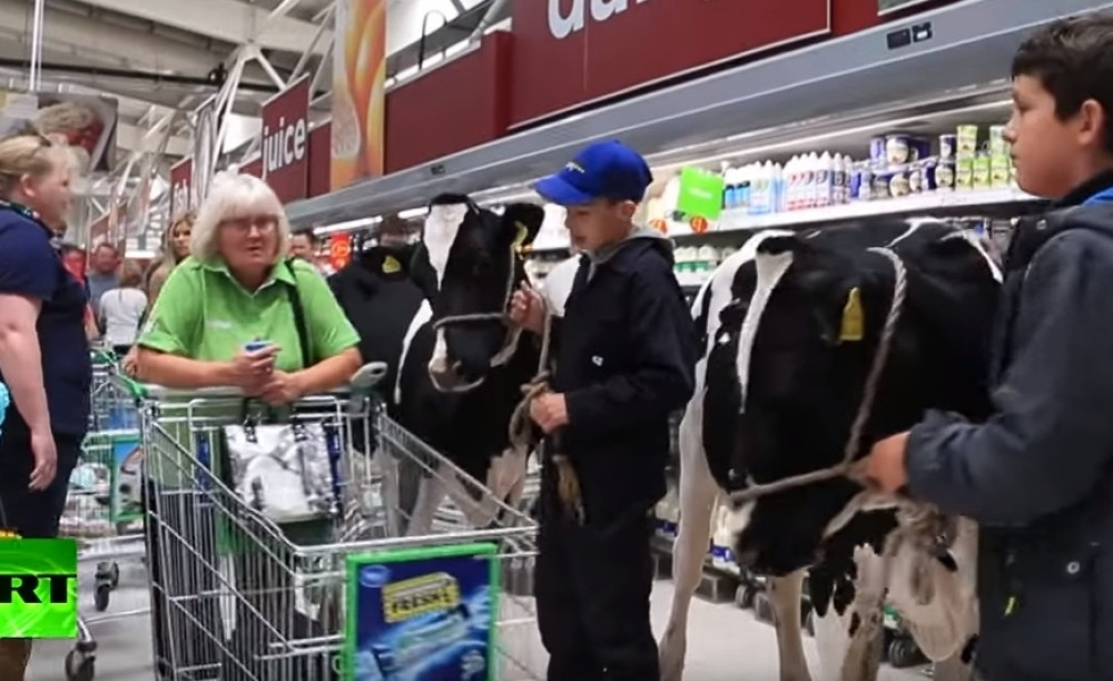 Šta će krava u supremarketu? (VIDEO)