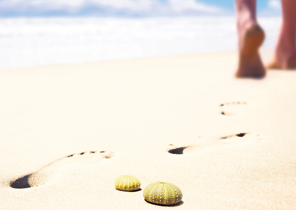 Ježeve bodlje se vade iglom i alkoholom