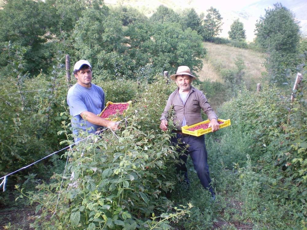 Premijerka je ovo dogovorila sa malinarima