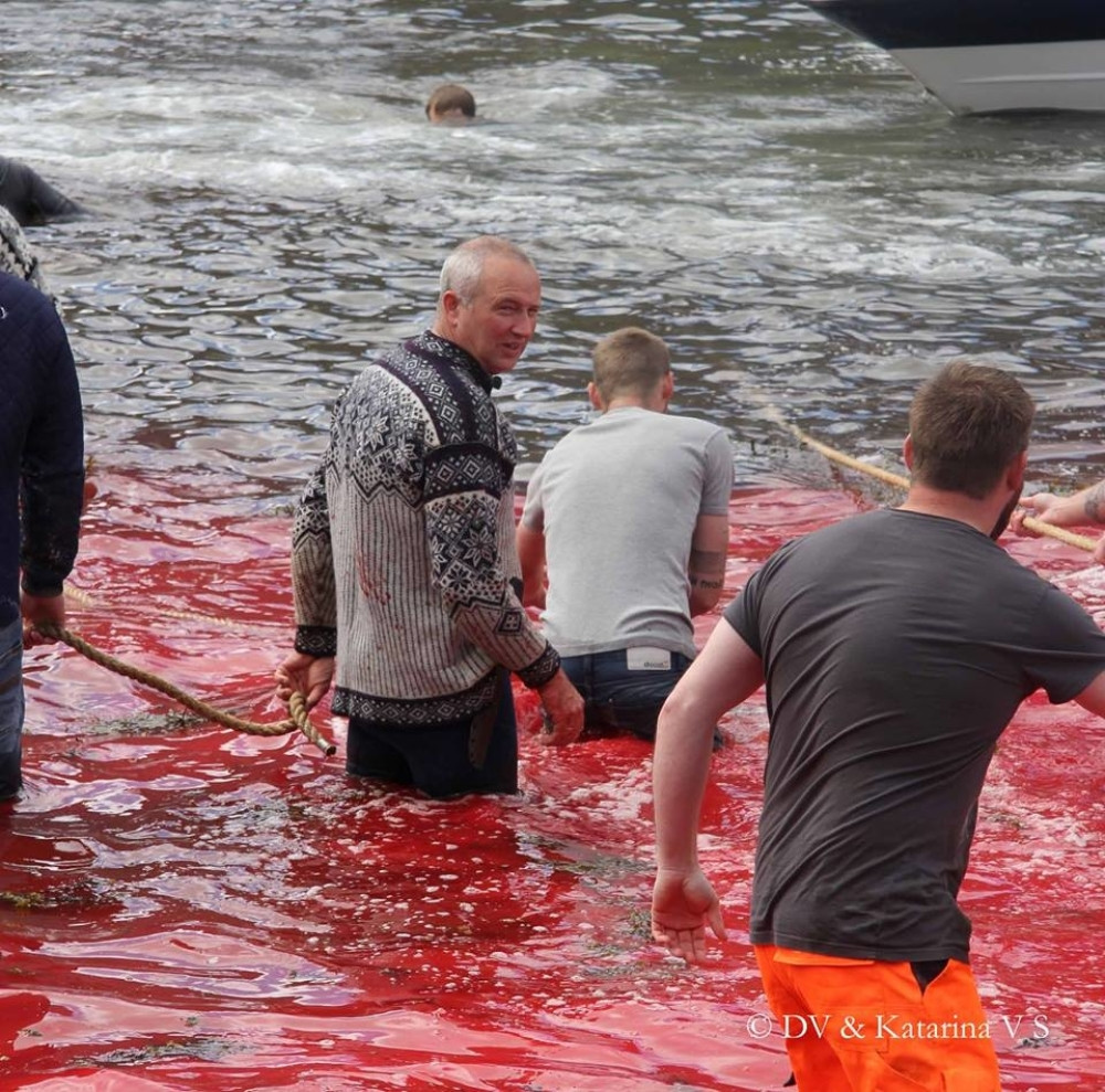 Za tren napravili pokolj u moru (UZNEMIRUJUĆI VIDEO)
